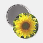 Zonnebloem Shine Magneet (Voorkant / Achterkant)