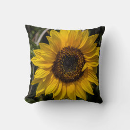 Zonnebloem Sierkussen