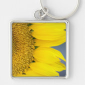 Zonnebloem Sluiten Foto Sleutelhanger (Voorkant)