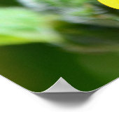 Zonnebloem Sluiten poster (Hoek)