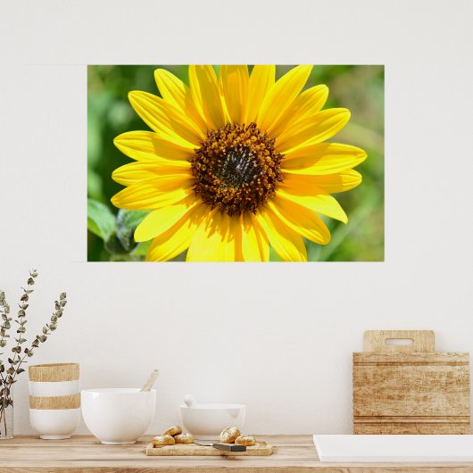 Zonnebloem Sluiten poster (Keuken)