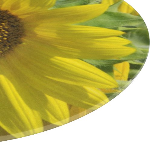 Zonnebloem, snijvlak snijplank (Hoek)