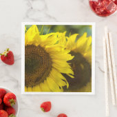 Zonnebloem Solidariteit Servet (Insitu)