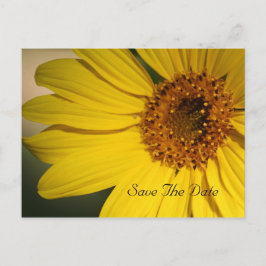 Zonnebloem sparen het Briefkaart van de Datum