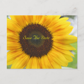 Zonnebloem sparen het Briefkaart van de Datum