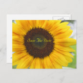 Zonnebloem sparen het Briefkaart van de Datum (Voorkant / Achterkant)
