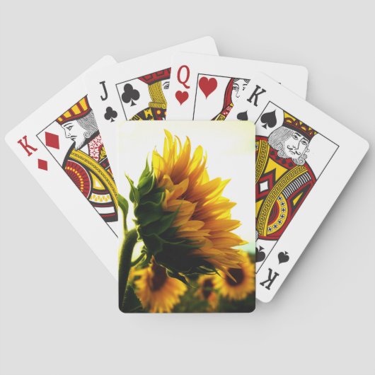 Zonnebloem Speelkaarten (Achterkant)