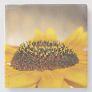 Zonnebloem Stenen Onderzetter