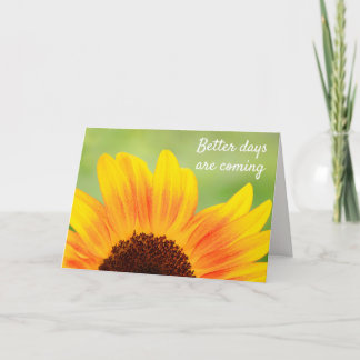Zonnebloem Sterger dan kanker Kaart