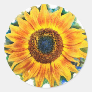 Zonnebloem, stickers