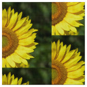 Zonnebloem Stof (Close Up)