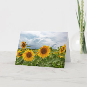 Zonnebloem Storm Blank Note Kaart