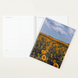 Zonnebloem Storm Planner