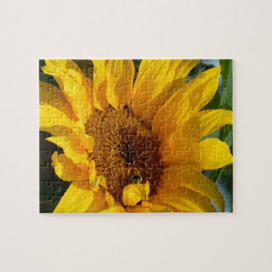 Zonnebloem Sun Legpuzzel (Horizontaal)