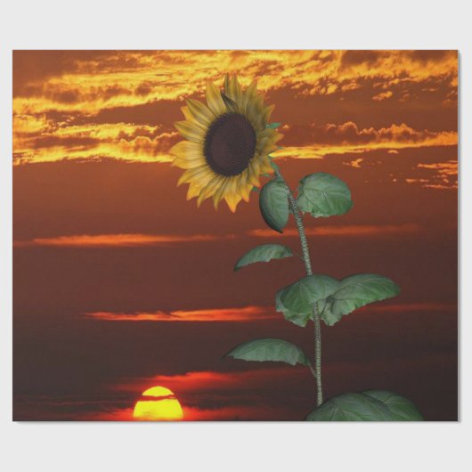 Zonnebloem Sunset Matte Wrapping Papier (Vlak)