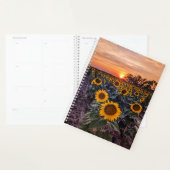 Zonnebloem Sunset Planner (Display)