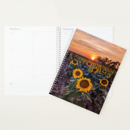 Zonnebloem Sunset Planner