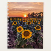 Zonnebloem Sunset Planner (Voorkant)