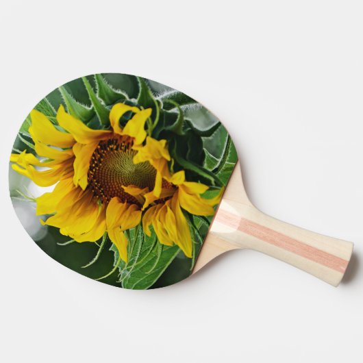 Zonnebloem Tafeltennisbatje (Zijkant)