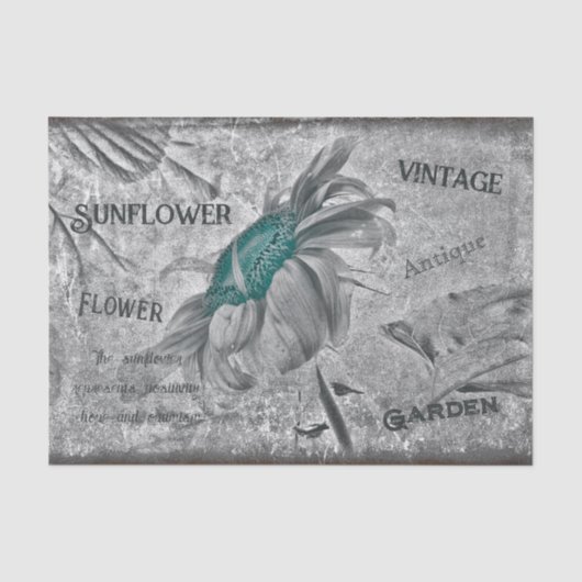 Zonnebloem Tealgrijs Vintage Ephemera Textuur Tissuepapier (Voorkant)