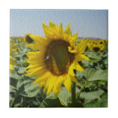 Zonnebloem Tegeltje (Voorkant)