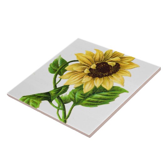 zonnebloem tegeltje (Zijkant)