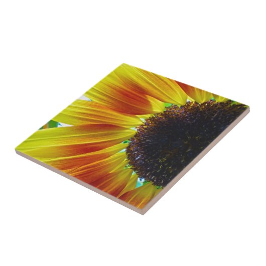 Zonnebloem Tegeltje (Zijkant)