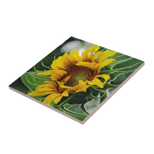 Zonnebloem Tegeltje (Zijkant)