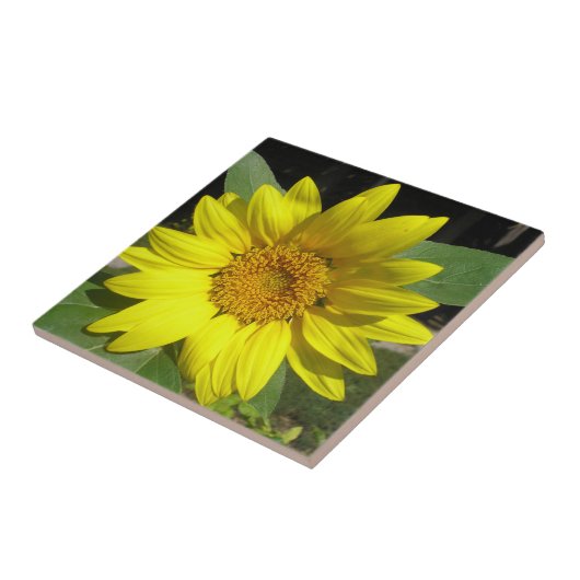 Zonnebloem Tegeltje (Zijkant)