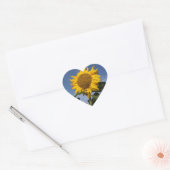 Zonnebloem tegen blauwe hemel hart sticker (Envelop)