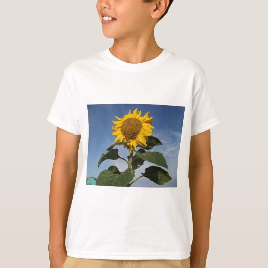Zonnebloem tegen blauwe hemel t-shirt (Voorkant)