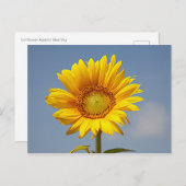 Zonnebloem tegen Briefkaart van de blauwe hemel (Voorkant / Achterkant)