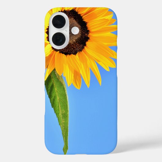 Zonnebloem tegen Sun iPhone Case Blue Sky (Achterkant)