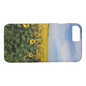 Zonnebloem - Telefoon Case-Mate iPhone Case (Achterkant (Horizontaal))