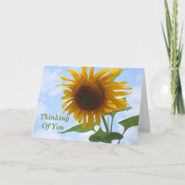 Zonnebloem Thinking of You Kaart