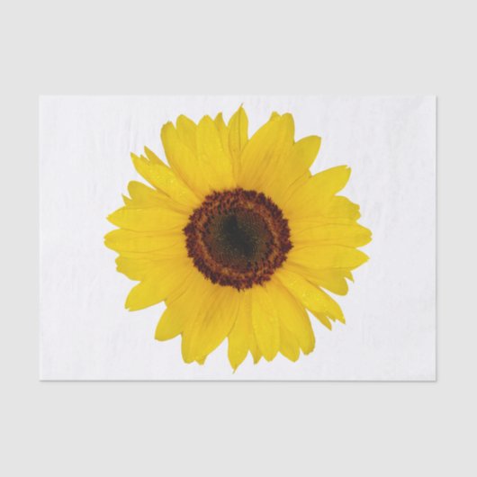 Zonnebloem Tissuepapier (Voorkant)