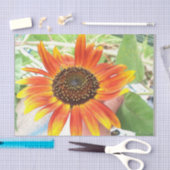 zonnebloem tissuepapier (Craft)