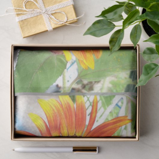 zonnebloem tissuepapier (Geschenk)