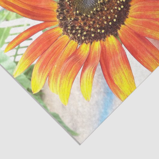 zonnebloem tissuepapier (Detail)