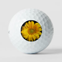 Zonnebloem tpv1 gbcna