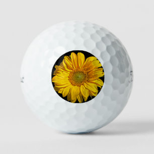 Zonnebloem tpv1 gbcna golfballen