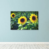 Zonnebloem Trio Verpakt Canvas Print (Insitu (Houten vloer))