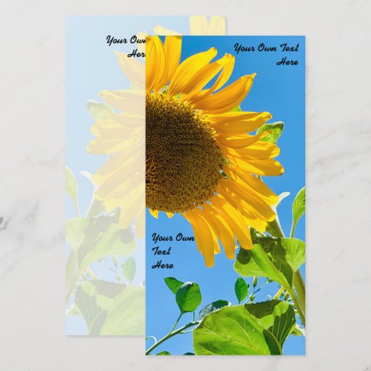 Zonnebloem trouwkaart (Voorkant / Achterkant)