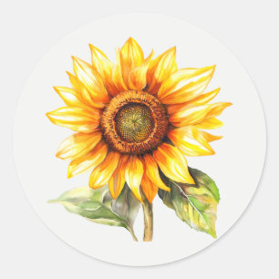 Zonnebloem Tuin Bloem Bloem kunst Ronde Sticker