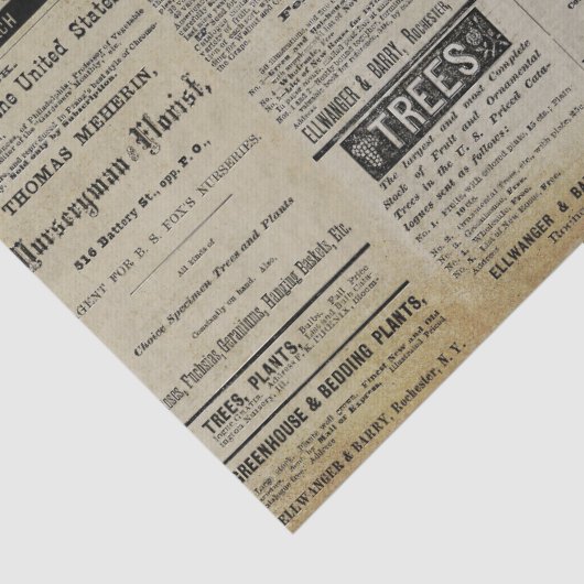 Zonnebloem Tuinbouw Ads Ephemera Tissuepapier (Detail)