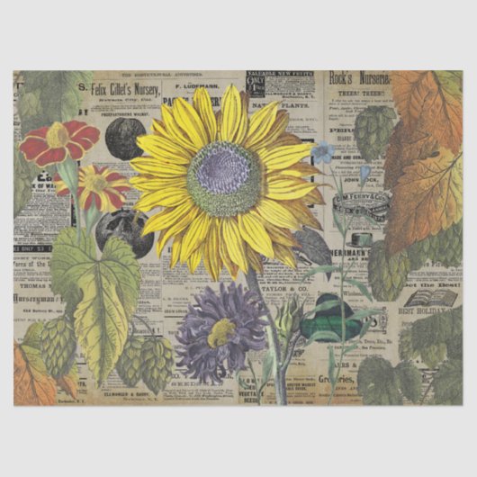 Zonnebloem Tuinbouw Ads Ephemera Tissuepapier (Voorkant)