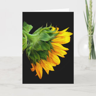 Zonnebloem van dichtbij en persoonlijk bedankkaart