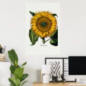 Zonnebloem van Hortus Eystettensis Poster (Thuiskantoor)