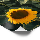 ZONNEBLOEM VELD WALLART PERFECT POSTER (Hoek)