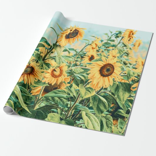 Zonnebloem Veldgele Blauwgroen ontkoppeling Floren Cadeaupapier (Uitgerold)